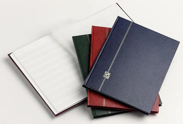 davo-stockbook-e-carnet-timbres-16-pages-23x30-5-cm image 1