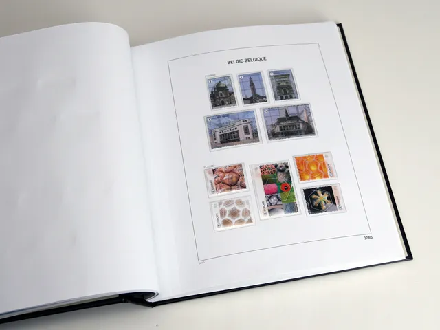 davo-luxe-suppl-ment-belgique-blocs-2022-pages-timbres image 1