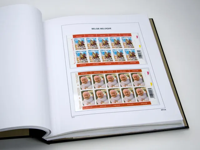 davo-luxe-feuilles-belgique-fp-h-lot-de-5-pages-170g-timbres image 1