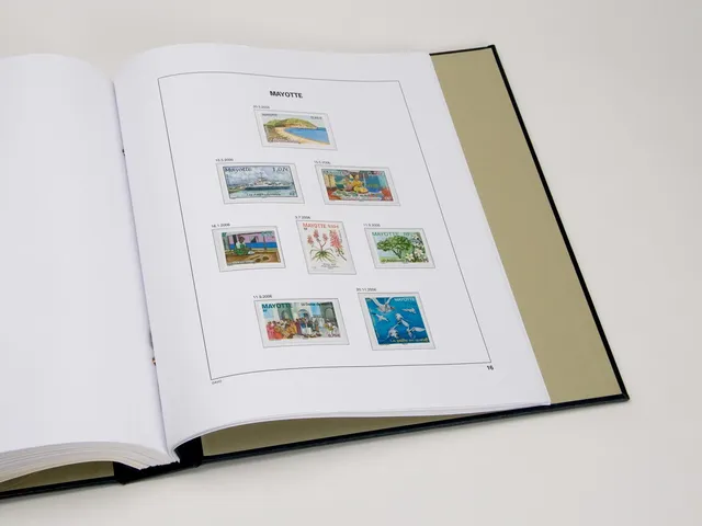 davo-luxe-mayotte-2006-pages-album-timbres-170g image 1