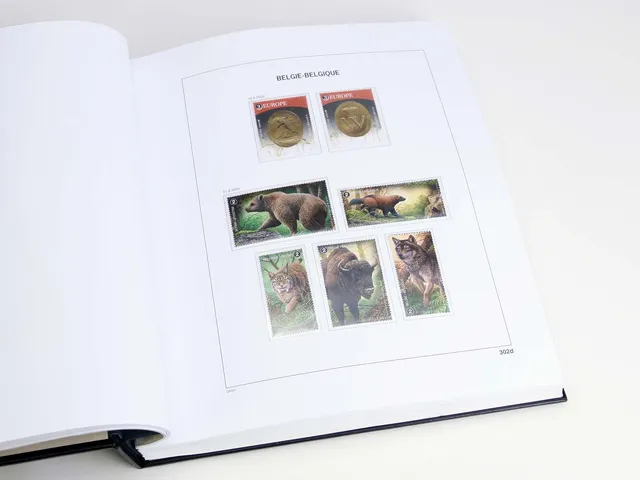 davo-luxe-belgique-blocs-2020-feuilles-album-timbres-170g image 1