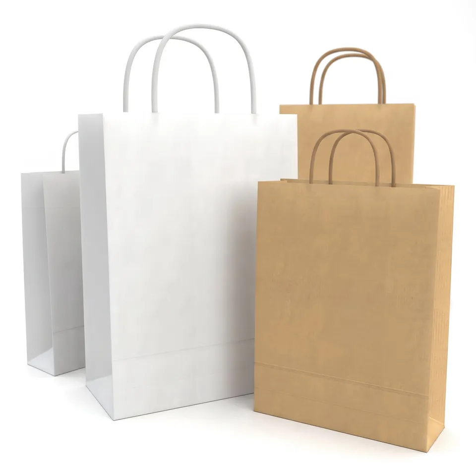 enveloppes-france-sac-papier-anses-torsad-es-kraft-blanc-cologique image 1