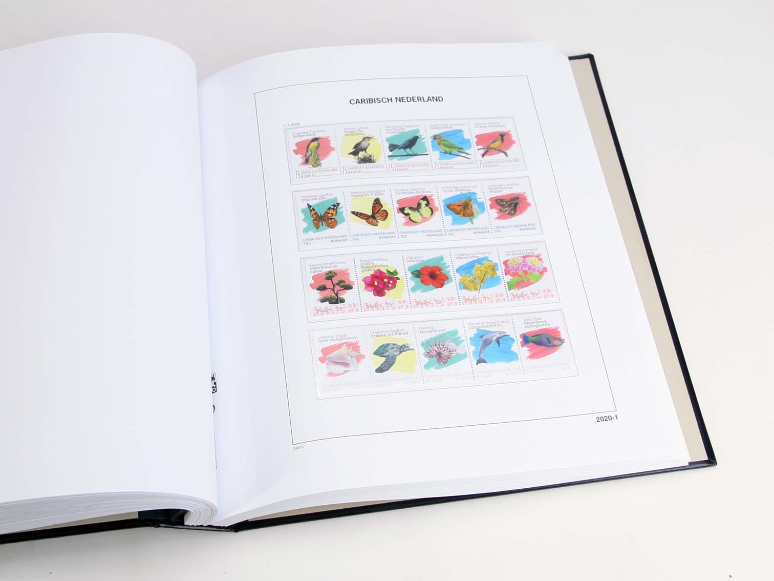 davo-luxe-cara-bes-n-erlandaises-2020-pages-album-170g image 1