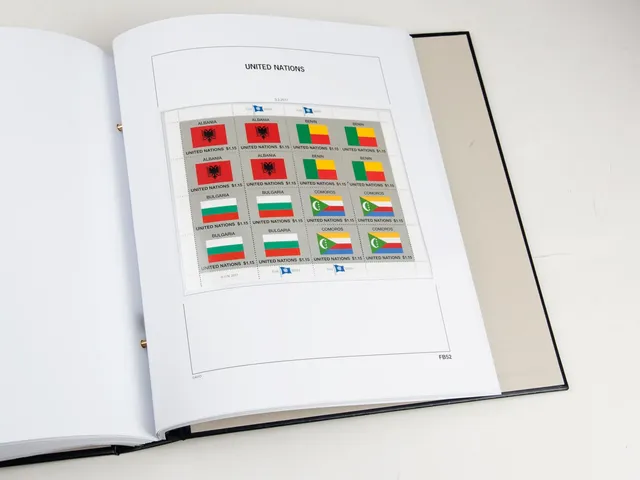 davo-luxe-onu-drapeaux-2017-pages-suppl-ment-timbres-170g image 1