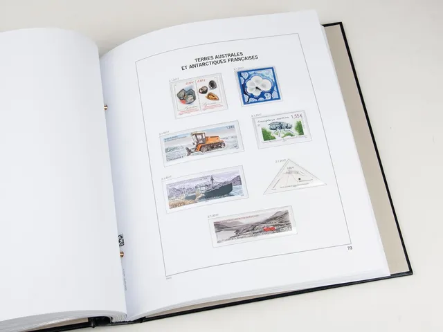 davo-luxe-taaf-2017-pages-album-timbres-170-g image 1