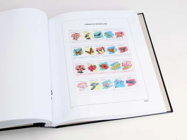 davo-luxe-cara-bes-n-erlandaises-2020-pages-album-170g image 1