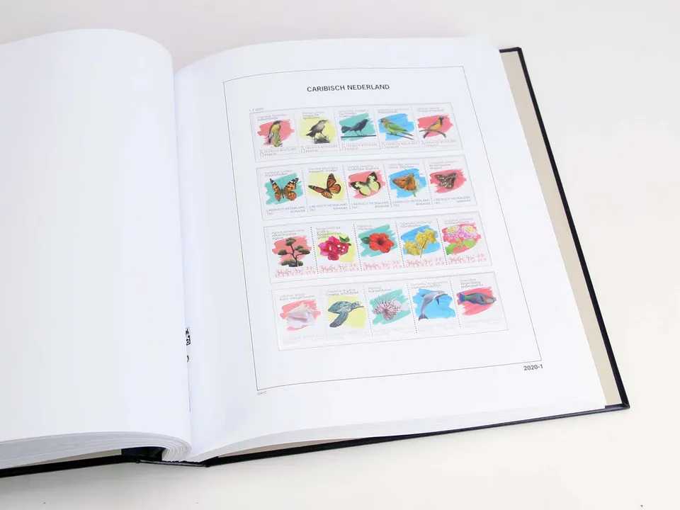 davo-luxe-cara-bes-n-erlandaises-2020-pages-album-170g image 1
