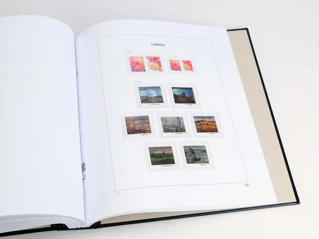 davo-luxe-suppl-ment-canada-2020-feuille-album-timbres-bandes image 1