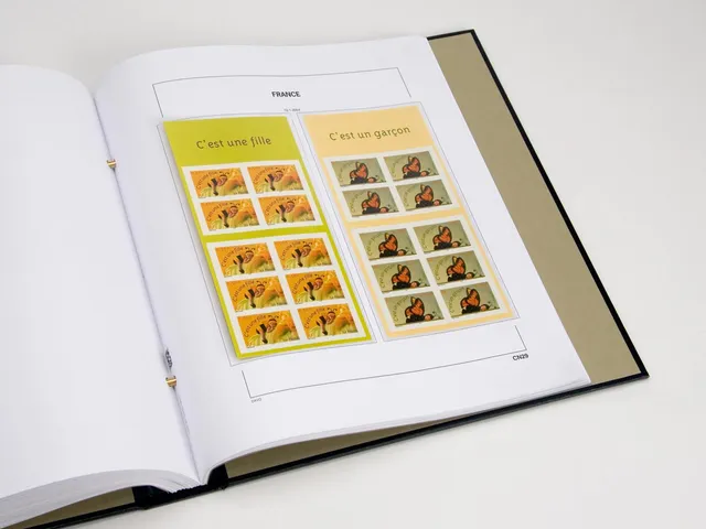 davo-luxe-france-carnets-2004-pages-album-timbres-170g image 1