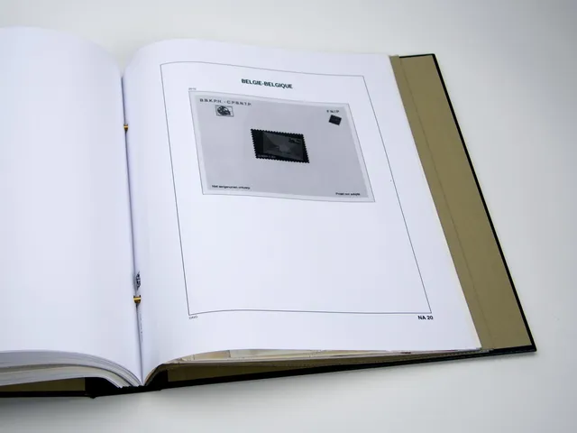 davo-luxe-belgique-na20-2010-pages-album-timbres image 1