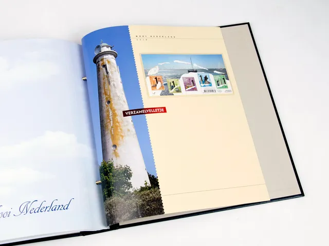 davo-luxe-mooi-nederland-2019-page-album-timbres-facultative image 1