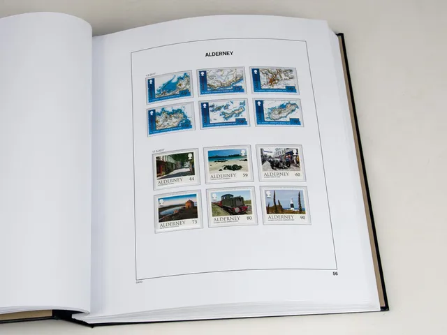 davo-luxe-alderney-2017-pages-album-timbres-170-g image 1