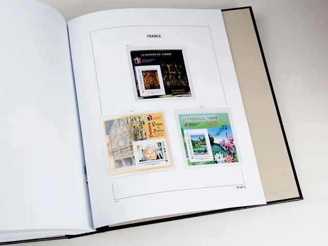davo-feuilles-album-timbres-france-ffap-2007-2025-avec-bandes image 1
