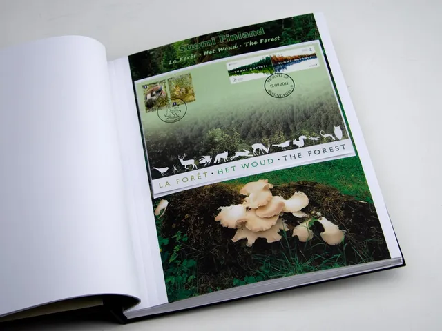 davo-luxe-pages-suppl-ment-belgique-extra-finlande-2011 image 1