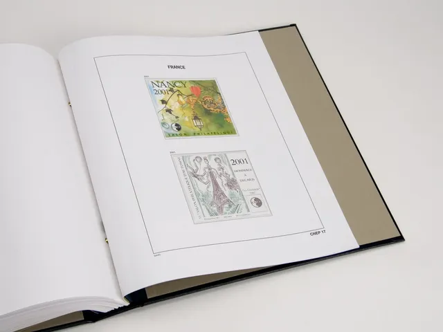 davo-luxe-france-cnep-2021-pages-d-album-blocs-neufs image 1