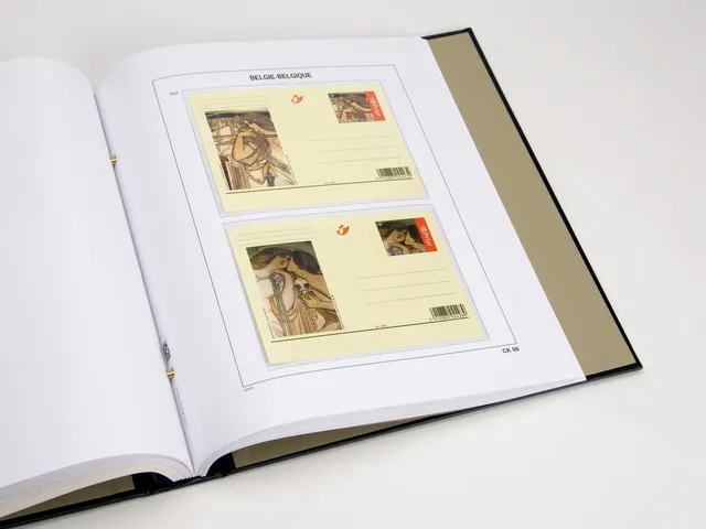 davo-luxe-belgique-cartes-postales-2005-feuilles-album-timbres image 1