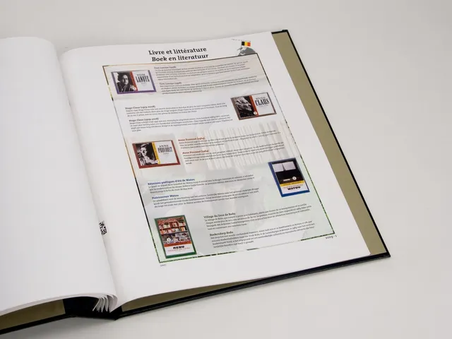 davo-luxe-this-is-belgium-2009-pages-album-timbres-200-g image 1