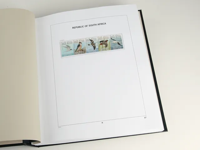 davo-luxe-afrique-du-sud-2014-pages-album-timbres-170g image 1