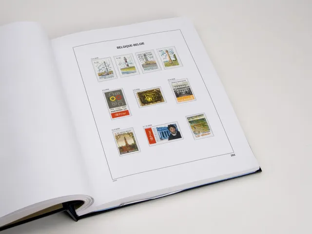 davo-luxe-belgique-2026-feuilles-album-timbres-170g image 1