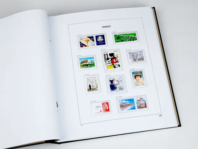 davo-luxe-france-2018-feuilles-album-timbres-170g image 1
