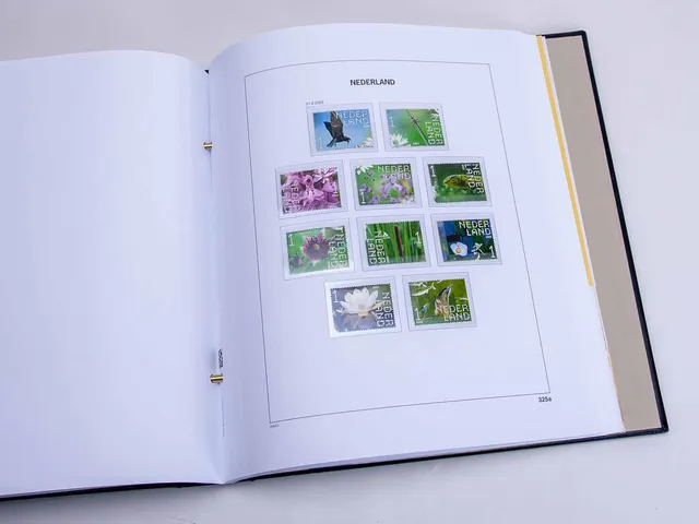 davo-luxe-pays-bas-extra-2022-feuilles-album-timbres-d-cembre image 1