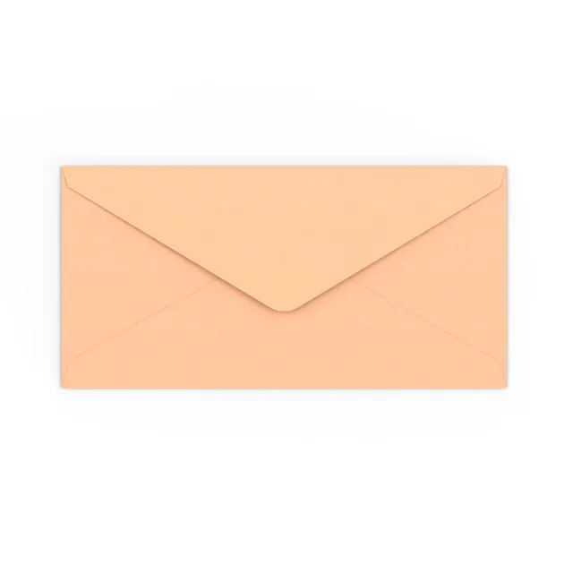 enveloppes-france-color-es-enveloppe-saumon-rose-110x220-mm-dl image 1