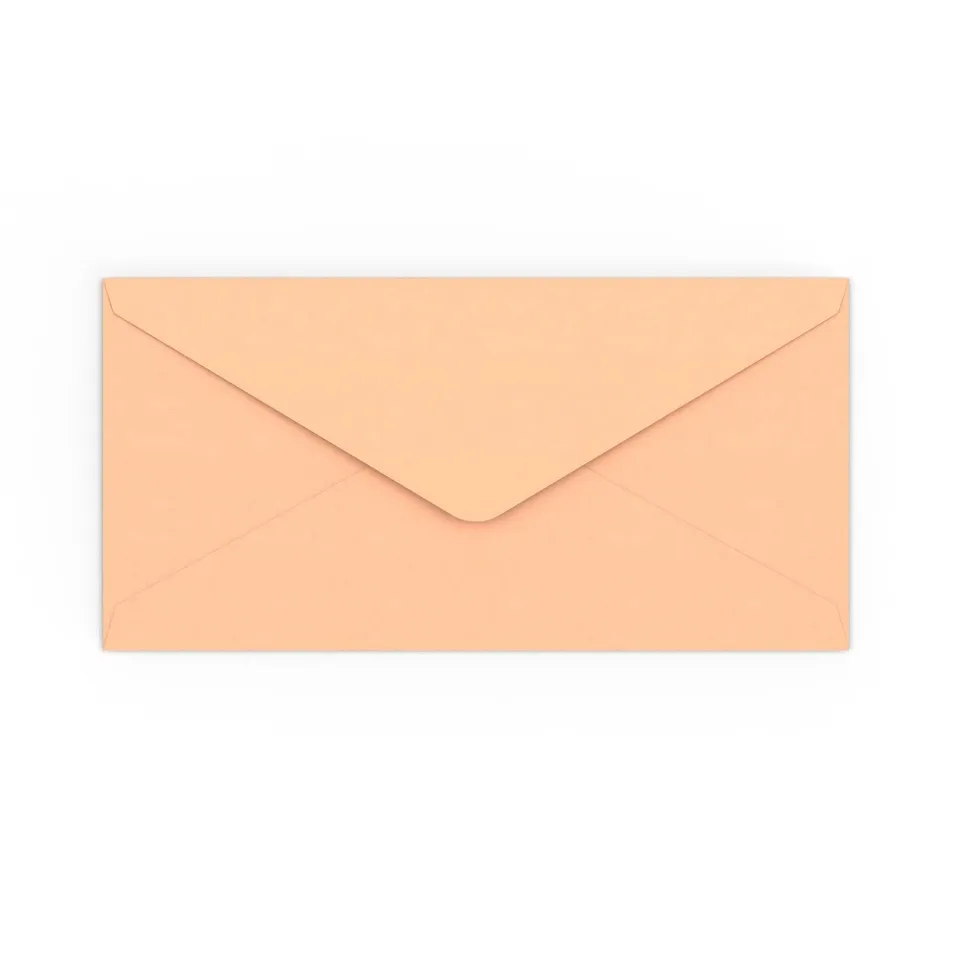 enveloppes-france-color-es-enveloppe-saumon-rose-110x220-mm-dl image 1