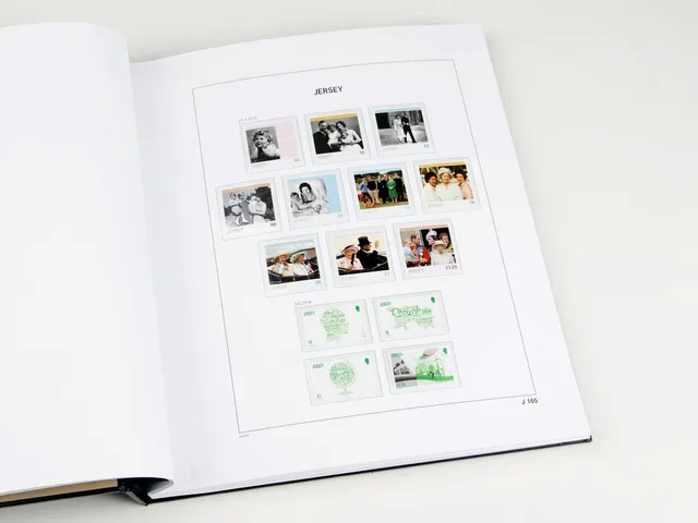 davo-luxe-jersey-2016-feuilles-album-timbres-170-g image 1
