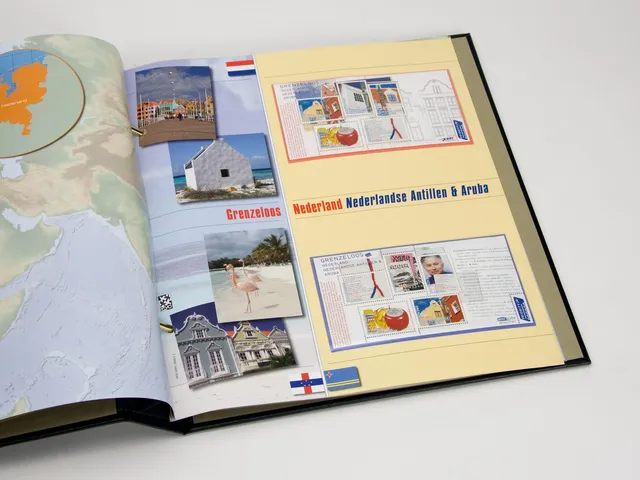 davo-luxe-pays-bas-2008-feuillets-album-timbres-illustr-s image 1
