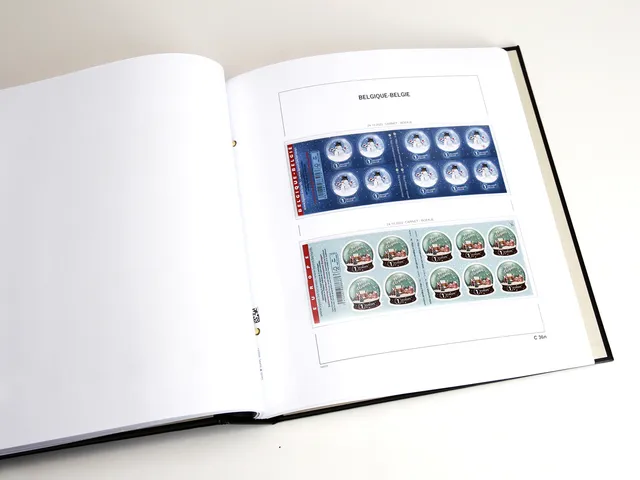 davo-luxe-belgique-carnets-2022-feuilles-album-timbres-170g image 1