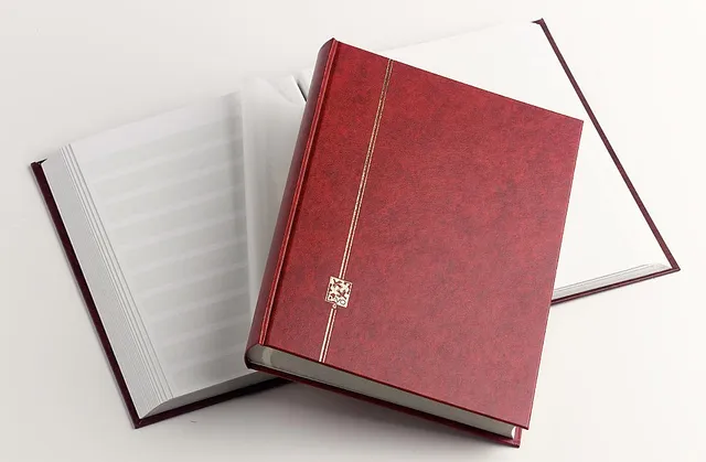 davo-stockbooks-g-7212-carnet-de-timbres-64-pages-bleu image 1