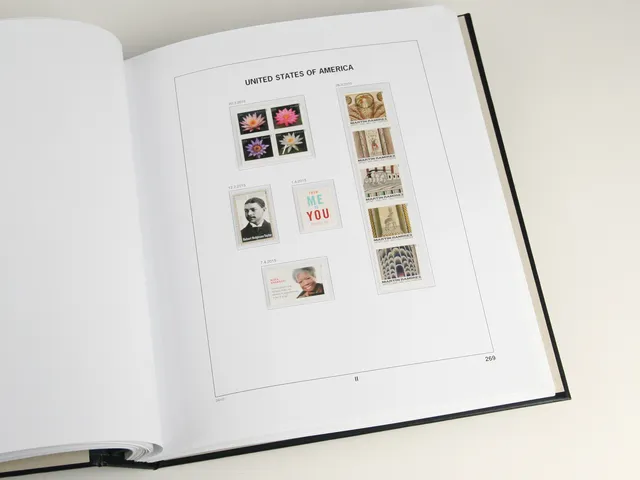 davo-luxe-usa-2025-feuilles-album-timbres-170g image 1