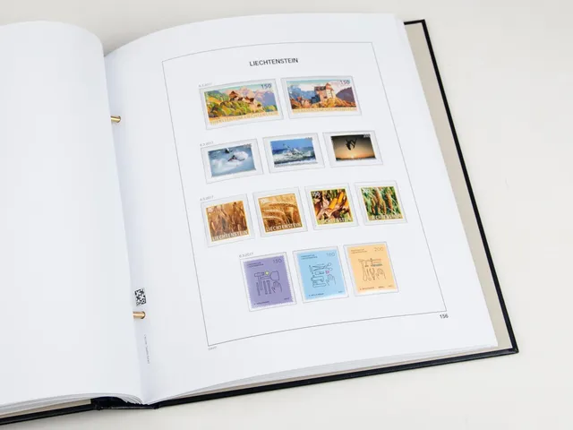 davo-luxe-liechtenstein-2017-pages-album-timbres-170g image 1