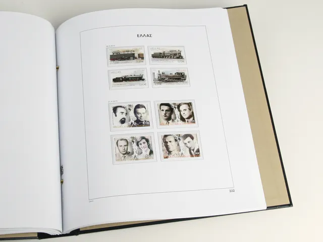 davo-luxe-gr-ce-2025-feuilles-album-timbres-170-g image 1