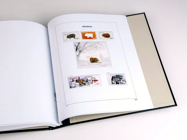 davo-luxe-indon-sie-2019-pages-album-timbres-170-g image 1