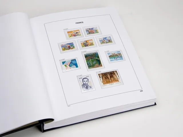 davo-luxe-france-2017-album-timbres-170g-annuel image 1