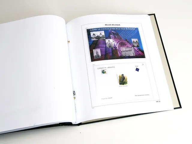 davo-luxe-belgique-na34-2022-pages-album-timbres-170g image 1