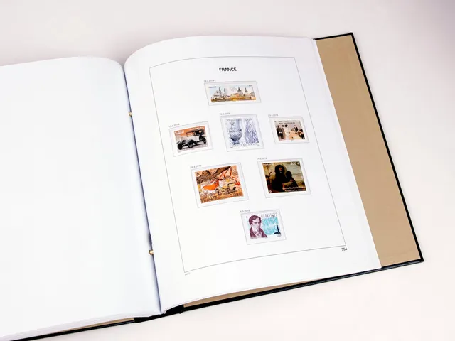 davo-luxe-france-2019-feuilles-compl-ment-album-timbres-neufs image 1
