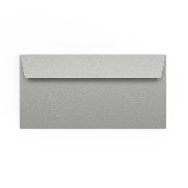 enveloppes-france-enveloppes-color-es-argent-e-110x220-enveloppe-dl-longue image 1
