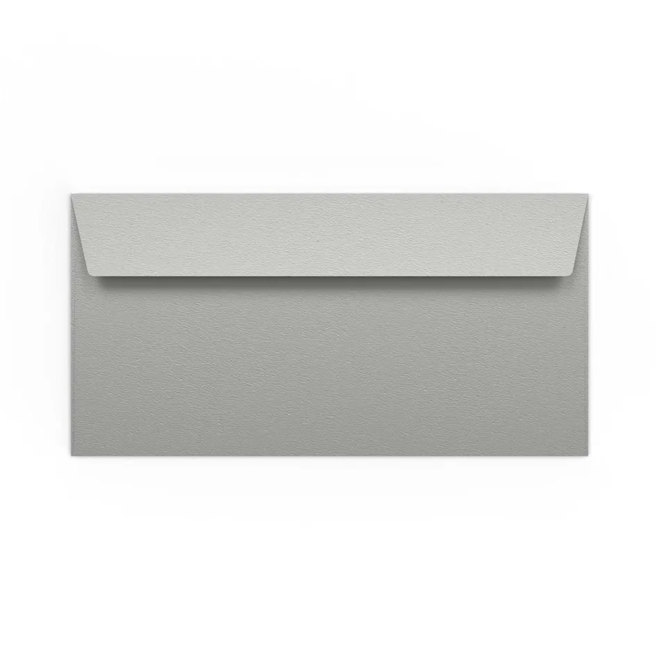 enveloppes-france-enveloppes-color-es-argent-e-110x220-enveloppe-dl-longue image 1