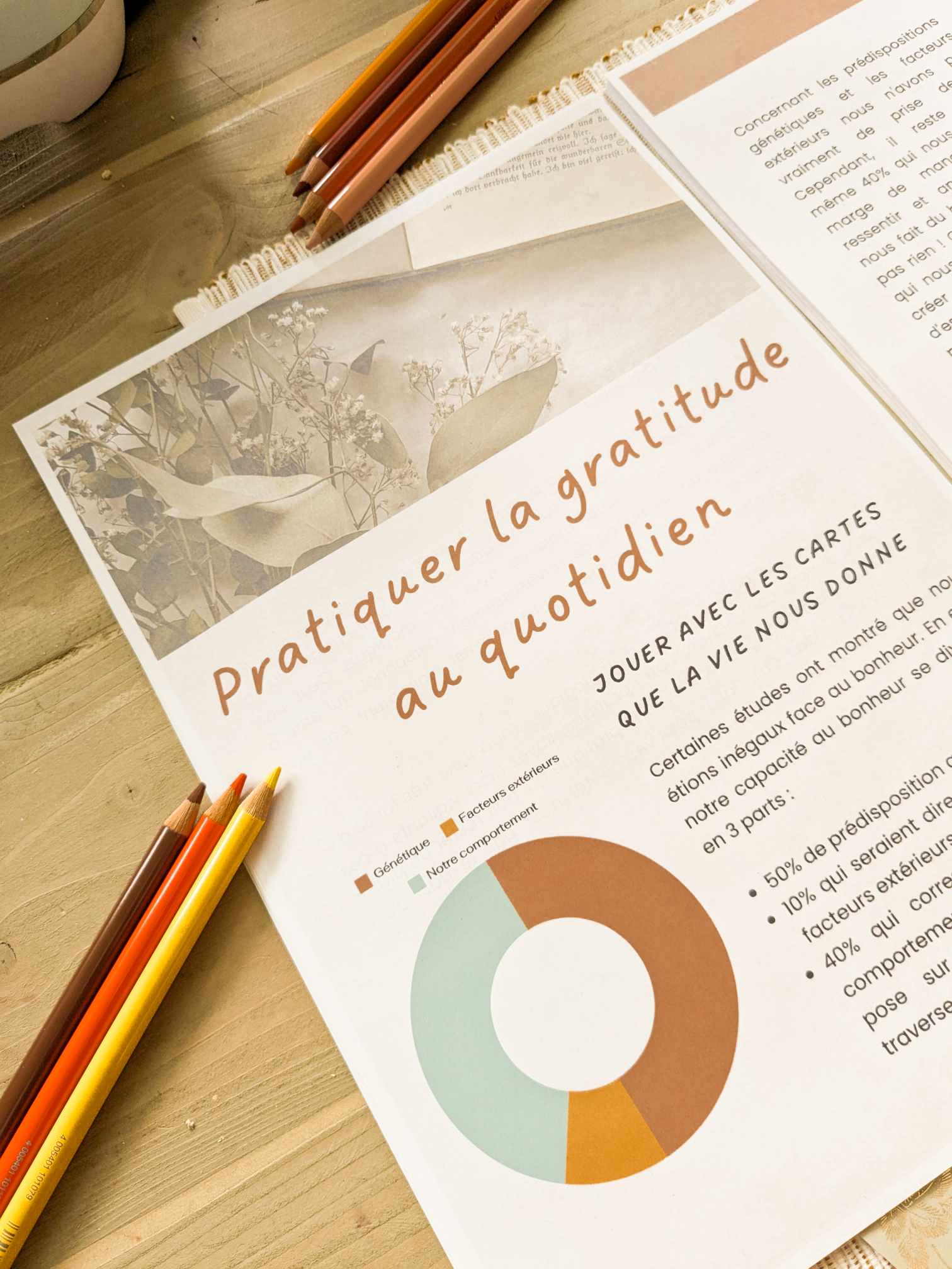 murmures-de-papier-la-gratitude-au-quotidien-ebook-d-veloppement-personnel image 4