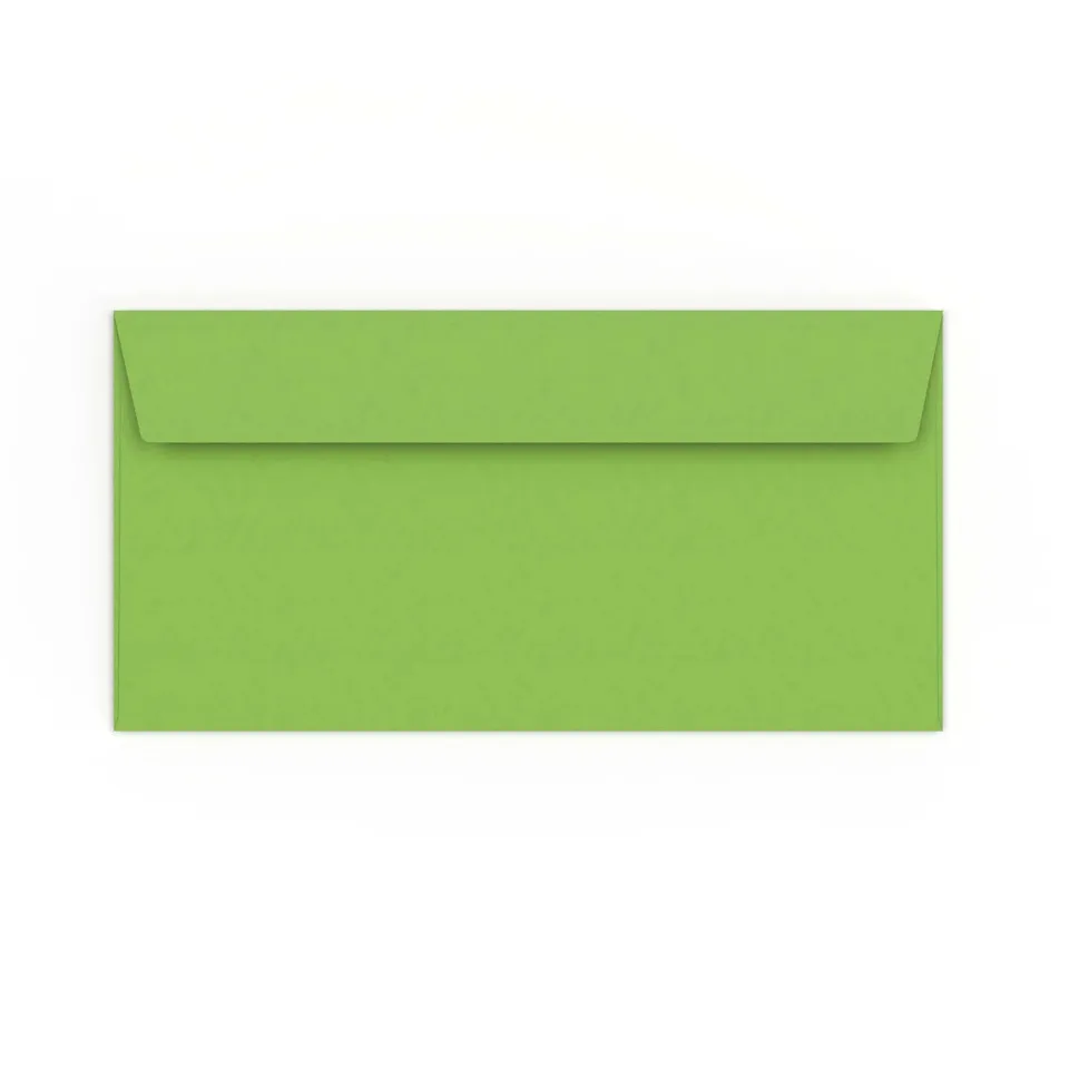 enveloppes-france-enveloppes-color-es-enveloppe-vert-vif-dl-110x220-mm image 1