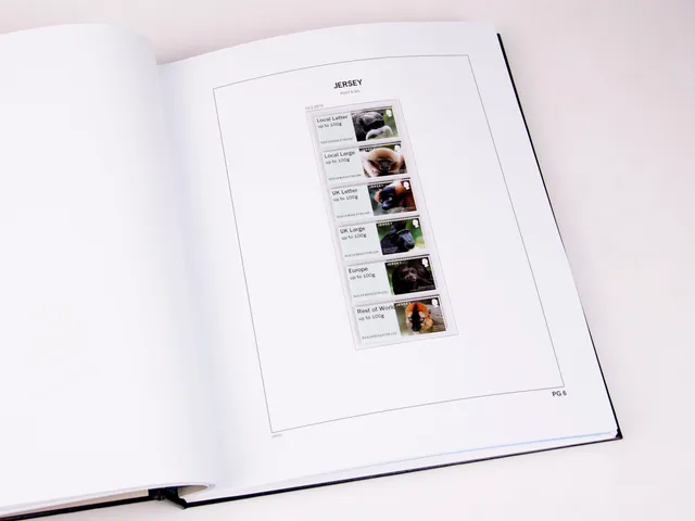 davo-luxe-jersey-post-go-2022-feuillets-album-timbres image 1