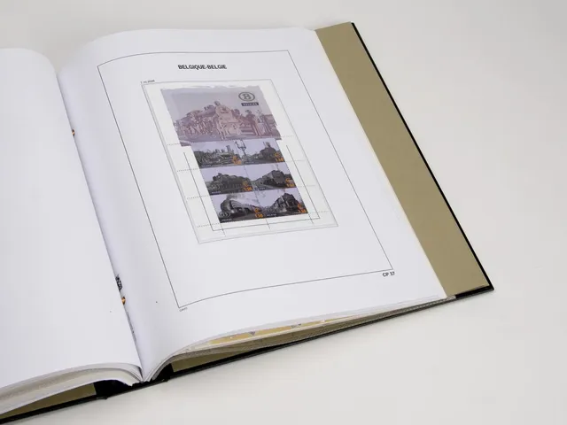 davo-luxe-belgique-chemin-de-fer-2006-pages-album-timbres image 1