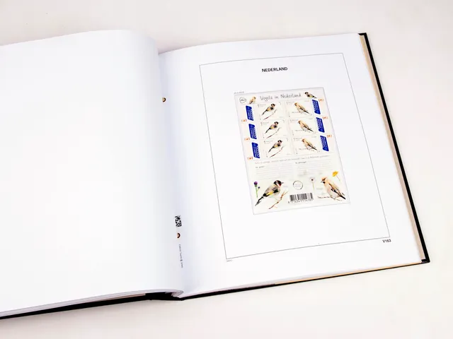 davo-luxe-supplement-pages-feuillets-pays-bas-2019 image 1