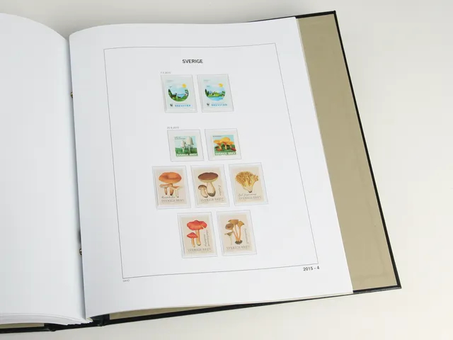 davo-luxe-su-de-2025-pages-suppl-ment-album-timbres image 1