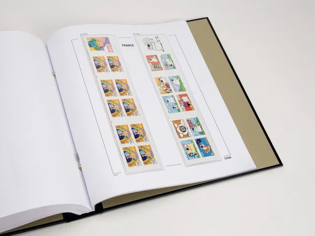 davo-luxe-france-carnets-2006-pages-album-timbres-170g image 1