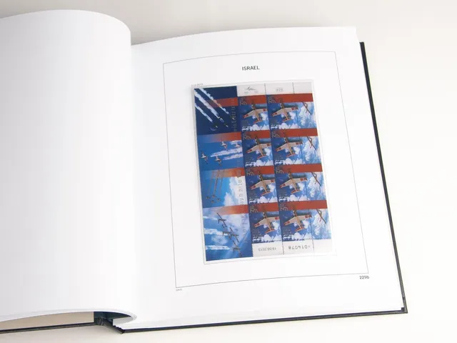 davo-luxe-isra-l-feuillets-2021-pages-album-timbres-170-g image 1