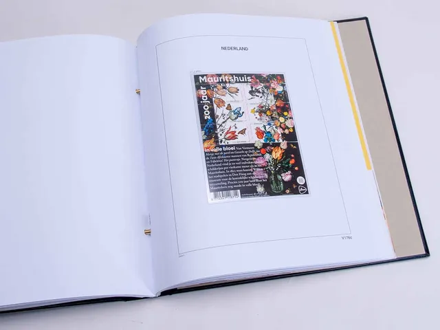 davo-luxe-nederland-velletjes-extra-2022-pages-album-timbres-170g image 1