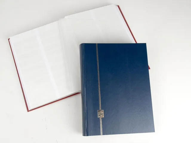 davo-stockbooks-gt-carnet-timbres-64-pages-rouge image 1